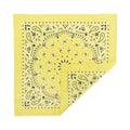 Paisley Head Wrap